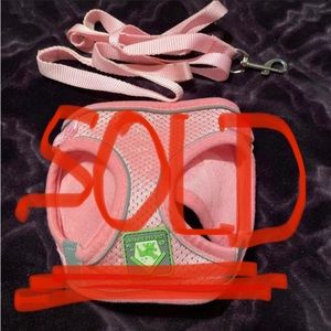 ‼️‼️ SOLD ‼️‼️Small Dog or Adult Cat Harness W/ Reflective Striping Adjustable